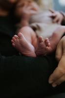 Noémy SMECICAS - SMECICAS NOEMY